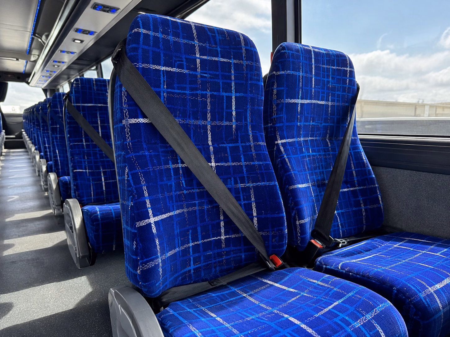woodbridge bus rental service area